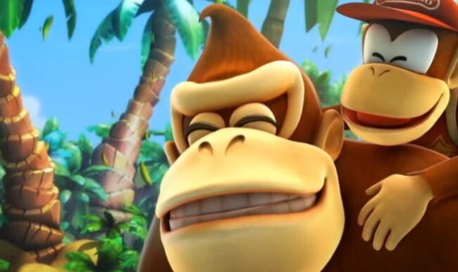 Donkey Kong 3D Nintendo
