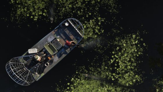 GTA 6 GTA 6