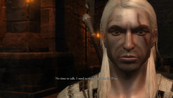 The Witcher The Witcher