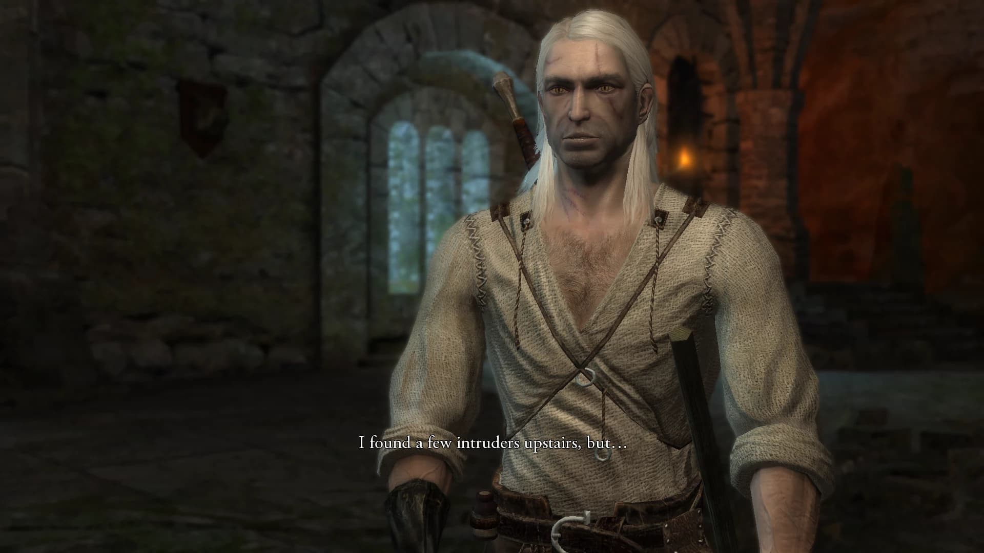 The Witcher The Witcher textura HD