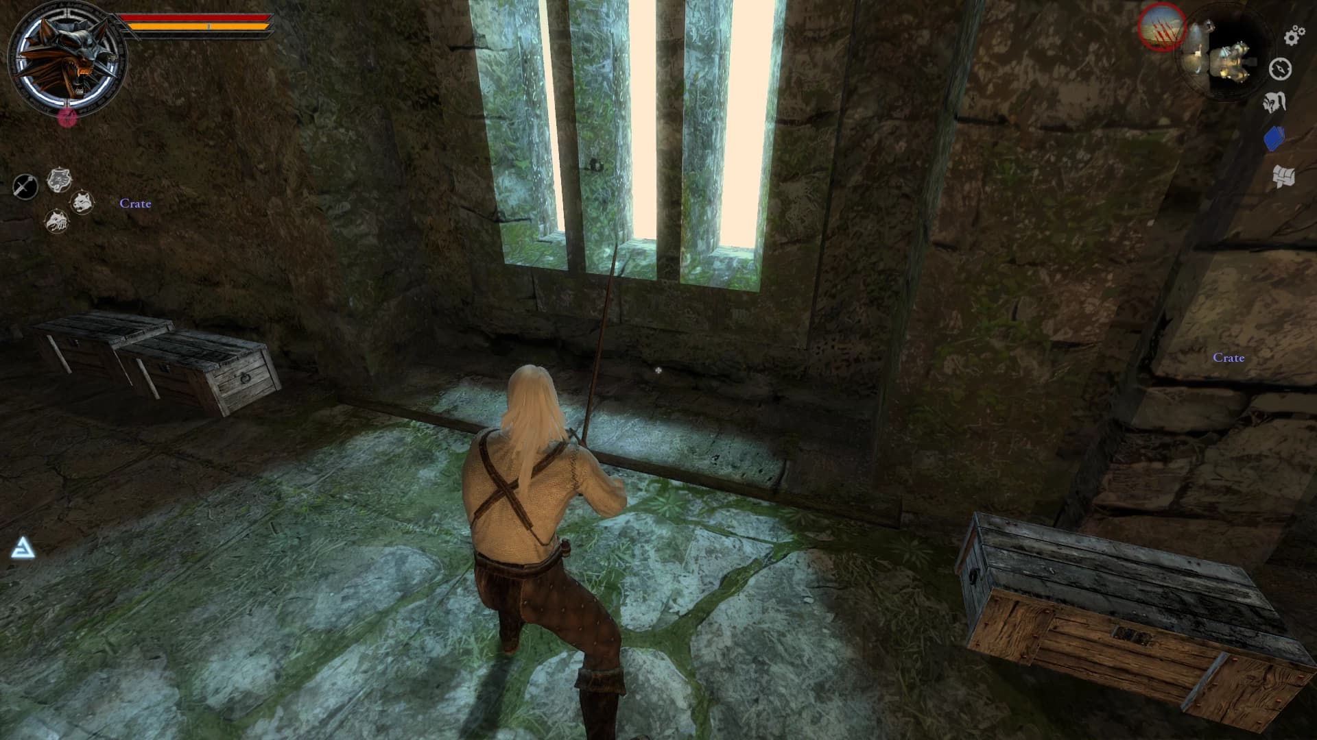 The Witcher The Witcher textura HD
