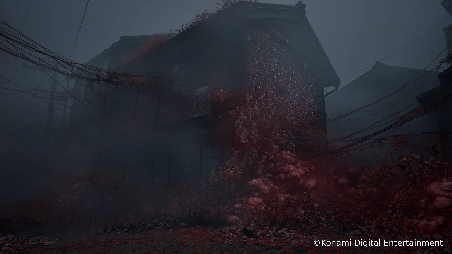 Silent Hill f Silent Hill f